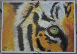 J adore le tigre... Ce gros chat au couleur magnifique !
